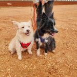 Mara_IMG_20251115_123331