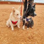 Mara_IMG_20251115_123334