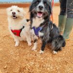 Mara_IMG_20251115_123338