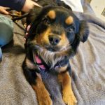 Margo_2026-03-29-08-29-36