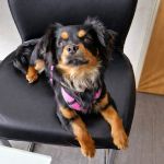 Margo_2026-03-30-10-30-16