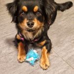 Margo_2026-03-30-12-10-010