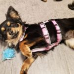 Margo_2026-03-30-12-10-04