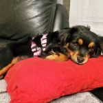 Margo_2026-03-30-12-10-05