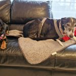 Margo_2026-03-30-12-10-06