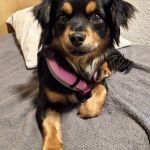 Margo_2026-03-30-12-10-07