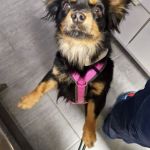 Margo_2026-03-30-12-10-08