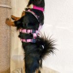 Margo_2026-03-30-12-10-09