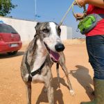 Marley_1000191469
