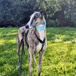 Marley_2025-10-11-14-54-23