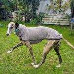 Marley_54f150b4-11fb-4611-aafc-17f50cd4d5e1