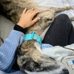 Marley_6047dfd6-ead8-43cd-a9af-d2060f94ff3b