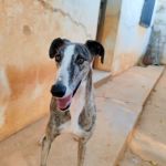 Marley_IMG_20250821_185712