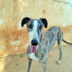 Marley_IMG_20250821_185751