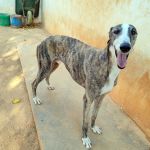 Marley_IMG_20250821_190046