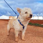 Mateo_IMG_20260124_114724