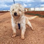 Mateo_IMG_20260124_114737