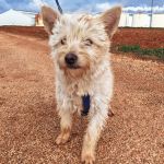 Mateo_IMG_20260124_114739