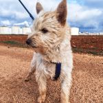 Mateo_IMG_20260124_114748