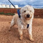 Mateo_IMG_20260124_114750