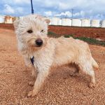 Mateo_IMG_20260124_114754