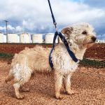 Mateo_IMG_20260124_114803