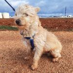 Mateo_IMG_20260124_114818