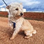 Mateo_IMG_20260124_114825