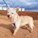 Mateo_IMG_20260124_114831