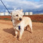 Mateo_IMG_20260124_114837