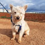 Mateo_IMG_20260124_114841