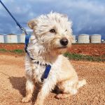 Mateo_IMG_20260124_114844