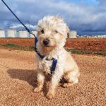 Mateo_IMG_20260124_114847