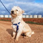 Mateo_IMG_20260124_114849