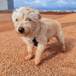 Mateo_IMG_20260124_114856