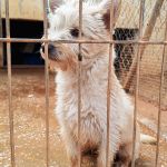 Mateo_IMG_20260124_115259