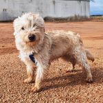 Mateo_IMG_20260124_191758