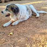 Megan_IMG_20250823_095743