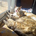 Mia und Dulche_IMG_20260221_123343