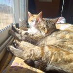 Mia und Dulche_IMG_20260221_123346