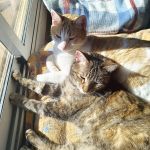 Mia und Dulche_IMG_20260221_123352