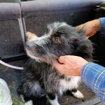 Mila_IMG-20251027-WA0021