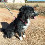 Mila_img-20251108-wa0077