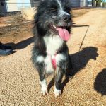 Mila_img-20251108-wa0111