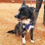 Mila_IMG_20251115_123056