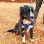 Mila_IMG_20251115_1230572