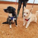 Mila_IMG_20251115_123059