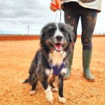 Mila_IMG_20251115_123233