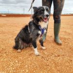 Mila_IMG_20251115_123236