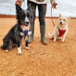 Mila_IMG_20251115_123245